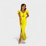 Chelsea | Neon Flamenco Dress