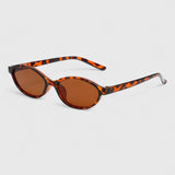 Rachel | Sophisticated Fashion Shades